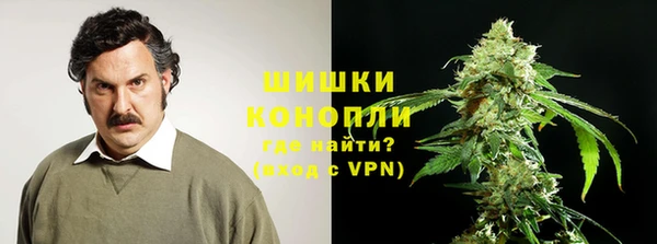 шишки Алзамай