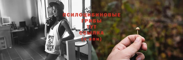 хмурый Алексин