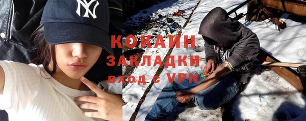 шишки Алзамай