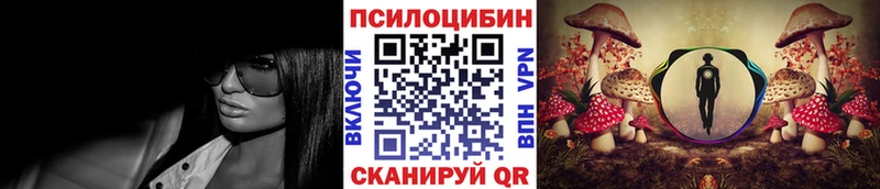 Псилоцибиновые грибы мухоморы  купить наркотики сайты  Ноябрьск 